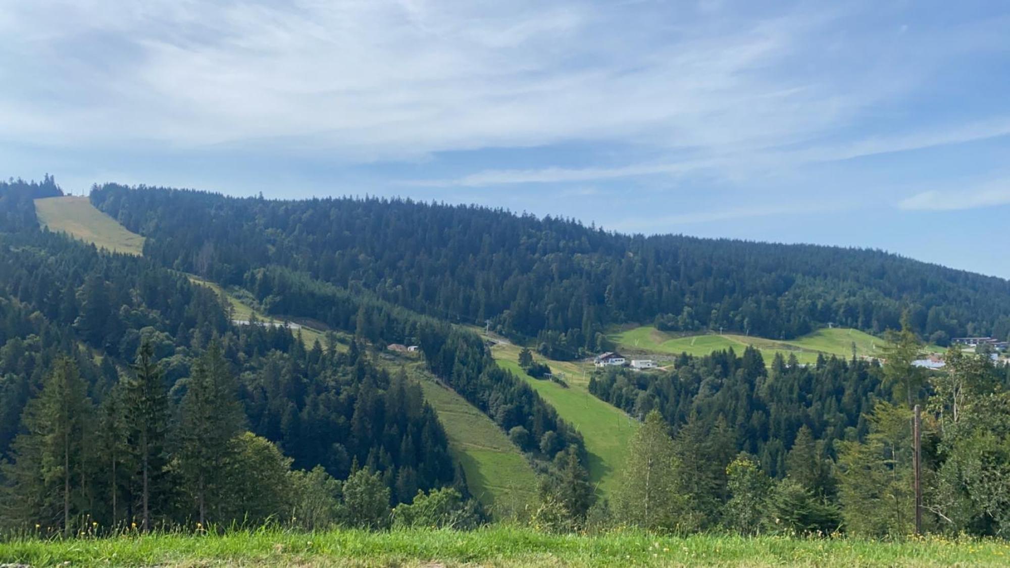 Appartement Sur Les Hauteurs De Gérardmer Buitenkant foto
